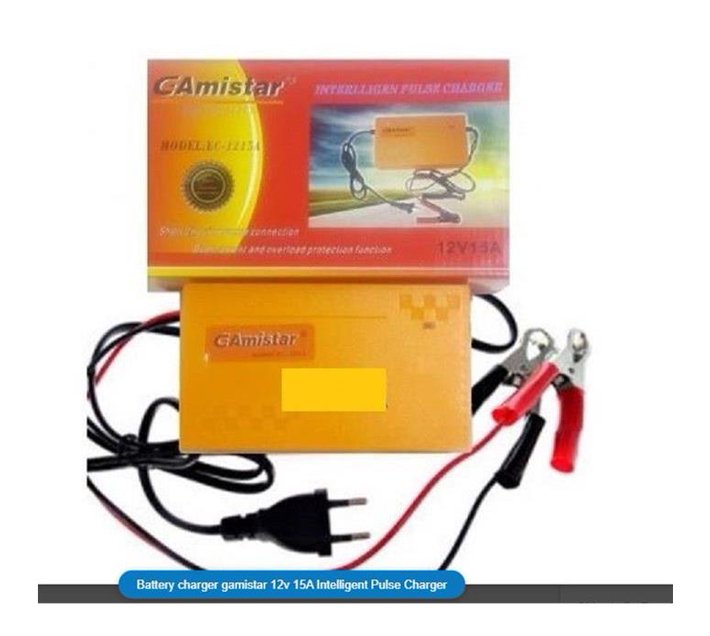 Someone’s in a Makro Battery charger gamistar 12v 15A Intelligent Pulse