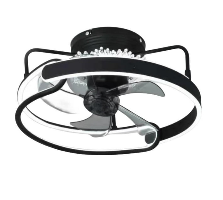 Someone’s in a Makro Modern Ceiling Fans with Lights and Remote