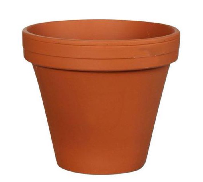 Someone’s in a Makro Henson Terracotta Outdoor Planter 16cm x 14cm Mood