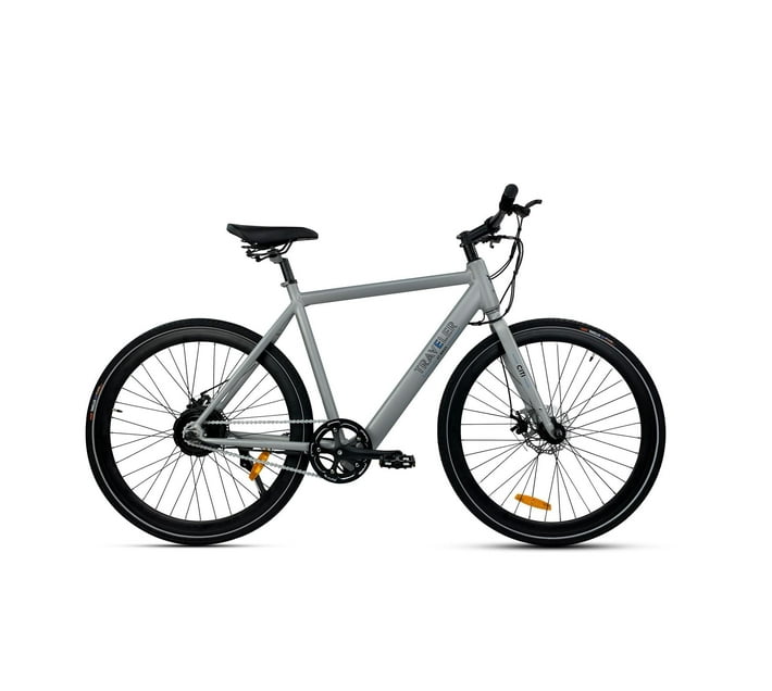 CITI Traveler EBIKE (Electric bike) Makro