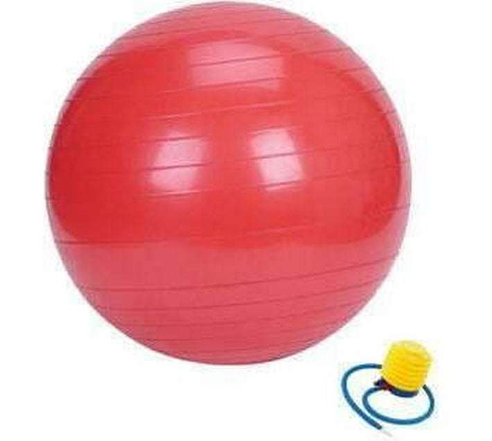 Perfect Dealz GB 290 60 cm Gym Ball Makro