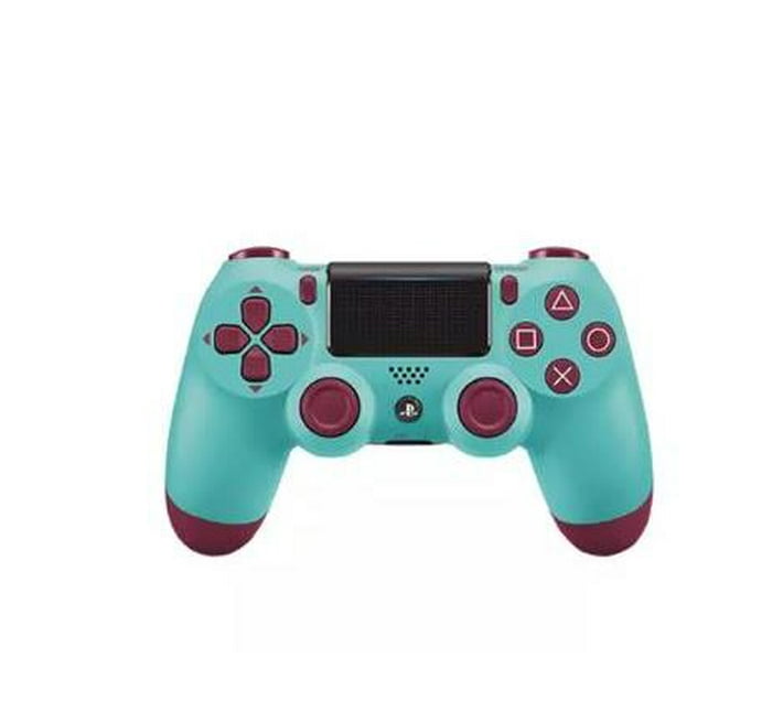 Someone’s in a Makro XX Double-Motor PS4 wireless controller Light Blue ...