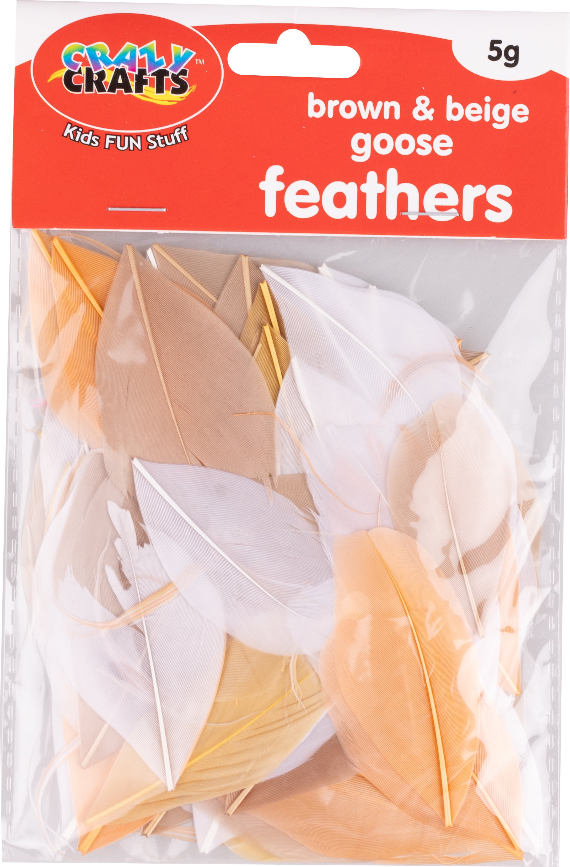 Crazy Crafts Mixed Goose Feathers Brown & Beige Craft Kits Art And ...