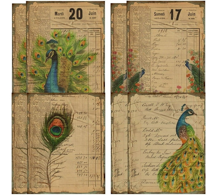 The Good Sport Craft Scrapbooking Ephemera Peacock Paper Set of 8(19cm