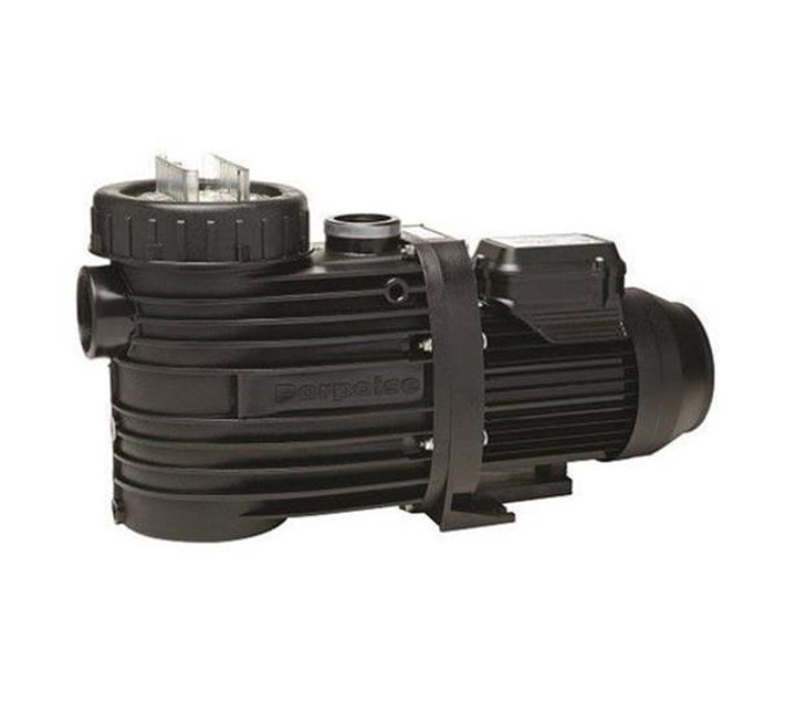 Speck 0.45kW Badu Porpoise 22 SelfPriming Swimming Pool Pump Makro